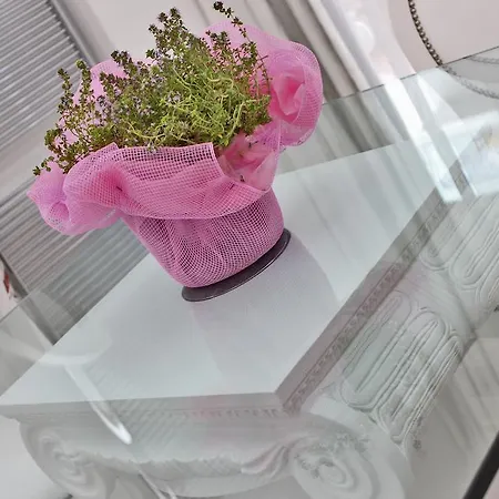 Boutique Paradiso Bovelacci Hotel Milano Marittima